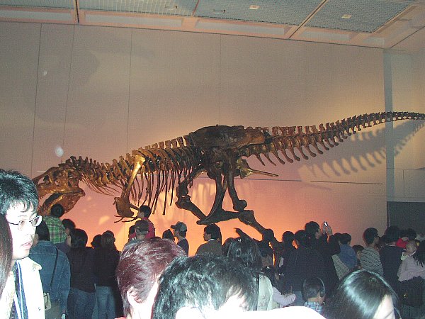 ティラノサウルス「スー」