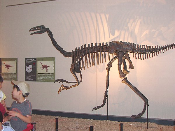 アラシャサウルス