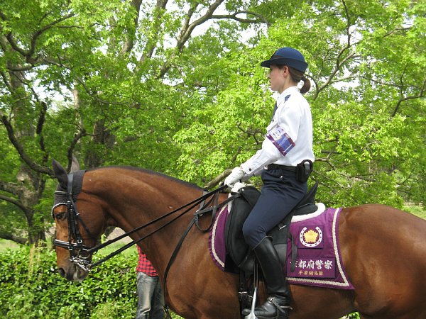 騎馬の女性警察官