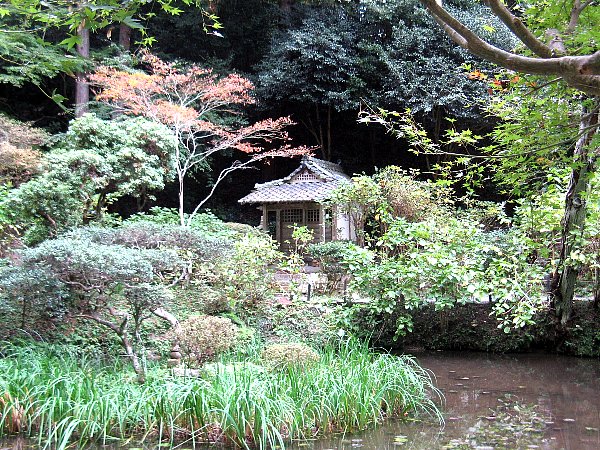 池越しの開山堂