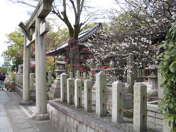 芹川神社