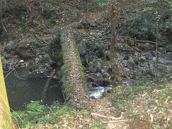 奥の院への橋