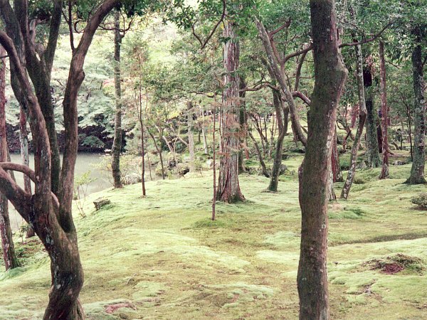 西芳寺庭園１(1970年)