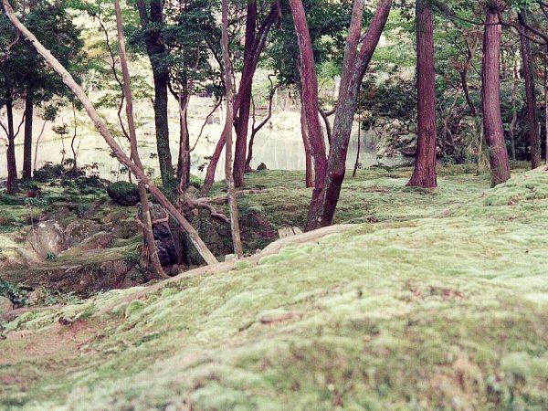 西芳寺庭園２(1970年)