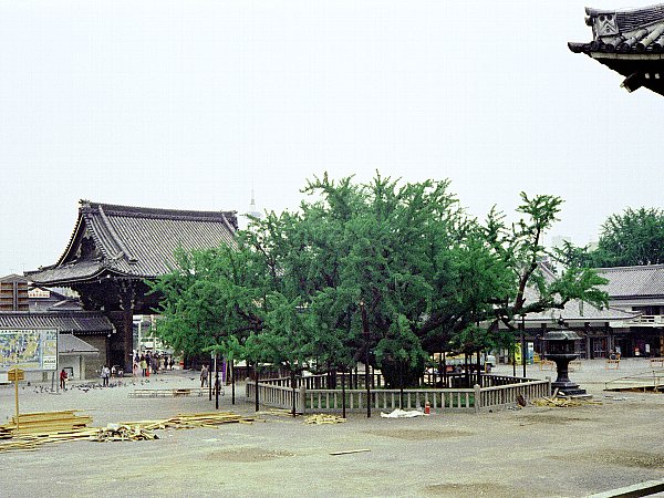 西本願寺(1973年)