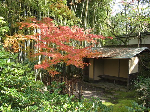 茶室　竹隠脇の紅葉