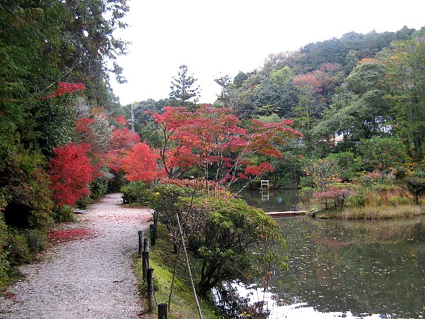 池と紅葉